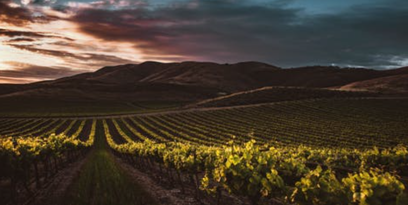 Wine valley